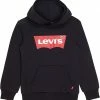 Levi's® Kids Batwing Pullover Hoodie (Little Kids) | Hoodies & Sweatshirts