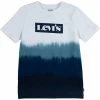 Levi's® Kids Graphic T-Shirt (Big Kids) | Shirts & Tops