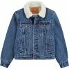 Levi's® Kids Sherpa Trim Trucker Jacket (Little Kids) | Coats & Outerwear